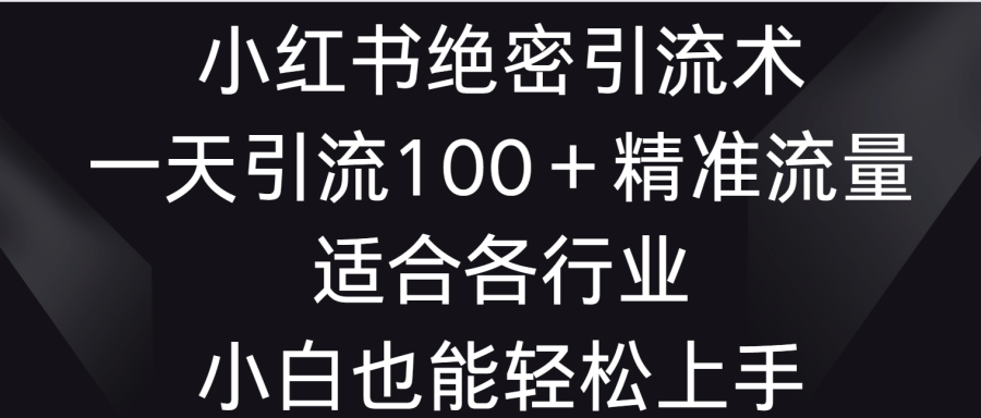 小红书绝密引流术，一天引流100＋精准流量，适合各个行业，小白也能轻松上手插图