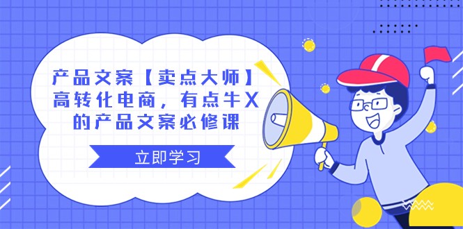 产品文案【卖点大师】高转化电商，有点牛X的 产品文案必修课插图