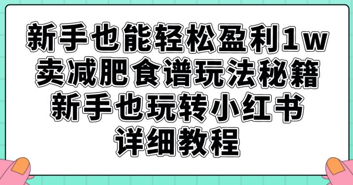 新手也能轻松盈利1w，卖减肥食谱玩法秘籍，新手也玩转小红书详细教程【揭秘】插图