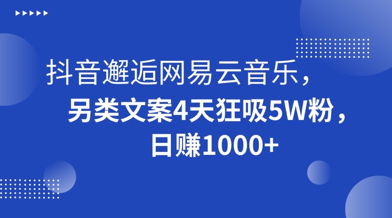 抖音邂逅网易云音乐，另类文案4天狂吸5W粉，日赚1000+【揭秘】插图