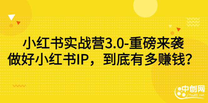 （2861期）小红书实战营3.0-重磅来袭：做好小红书IP，到底有多赚钱？插图