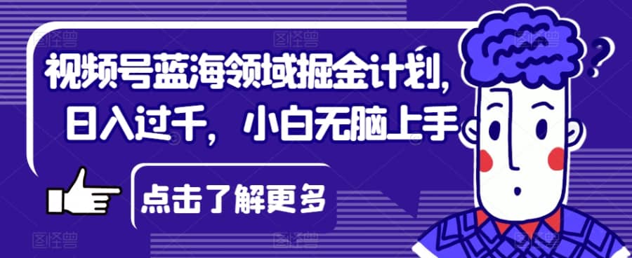 视频号蓝海领域掘金计划，日入过千，小白无脑上手【揭秘】插图