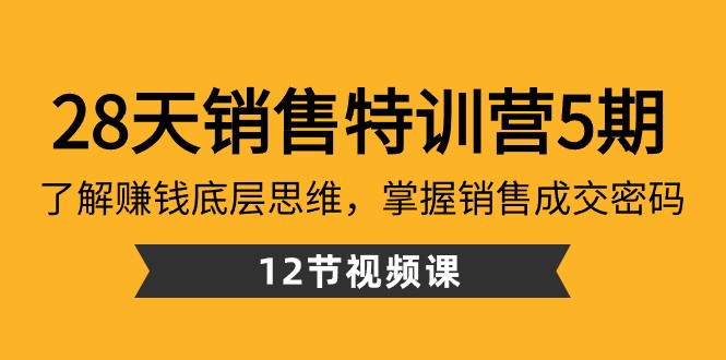 28天销售特训营5期：了解赚钱底层思维，掌握销售成交密码（12节课）插图