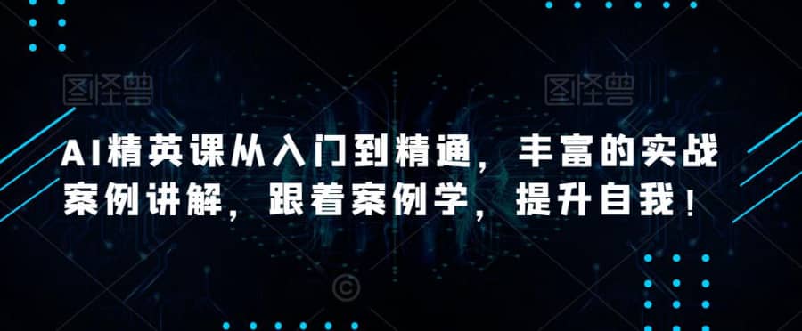 AI精英课从入门到精通，丰富的实战案例讲解，跟着案例学，提升自我！插图