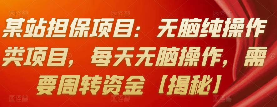 某站担保项目：无脑纯操作类项目，每天无脑操作，需要周转资金【揭秘】插图