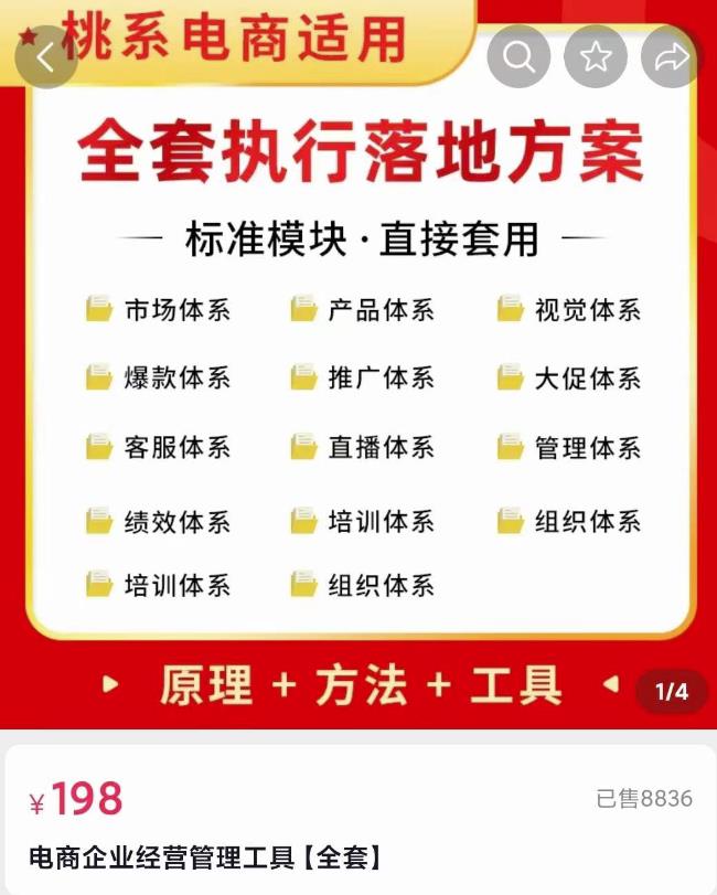 外面卖198·电商企业经营管理工具：全套执行落地方案标准模块·直接套用插图