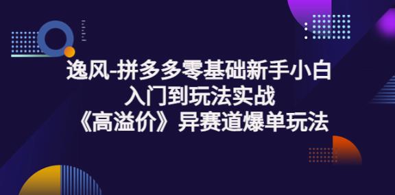 逸风-拼多多零基础新手小白入门到玩法实战《高溢价》异赛道爆单玩法实操课插图