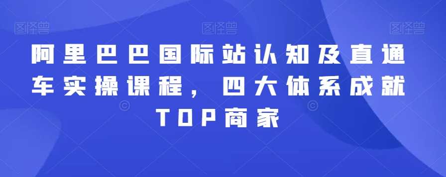 阿里巴巴国际站认知及直通车实操课程，四大体系成就TOP商家插图