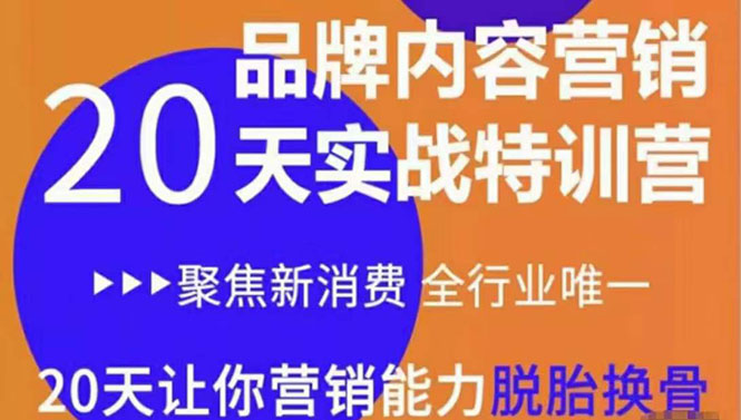 （3461期）《内容营销实操特训营》20天让你营销能力脱胎换骨（价值3999）插图