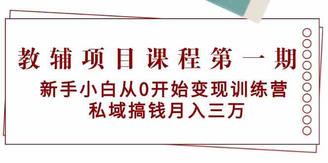 教辅项目课程NO.1期：新手小白从0开始变现训练营 私域搞钱月入三万插图