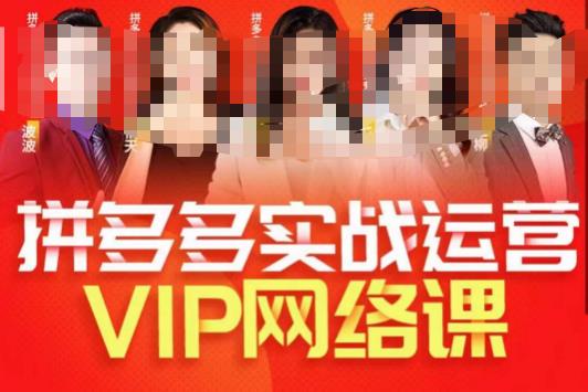 推易拼多多VIP全套直播课程，拼多多店铺实操玩法+实战玩法选款内功+直通车高阶等插图