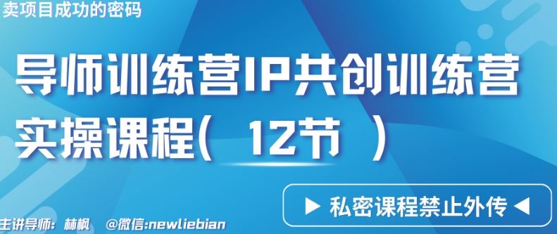 导师训练营3.0IP共创训练营私密实操课程（12节）-卖项目的密码成功秘诀【揭秘】插图