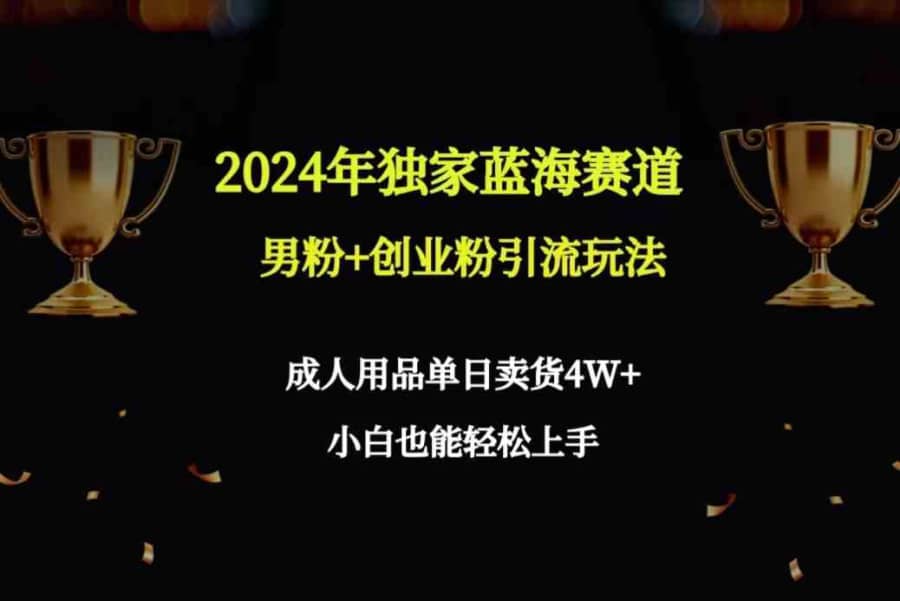 （9111期）2024年独家蓝海赛道男粉+创业粉引流玩法，成人用品单日卖货4W+保姆教程插图