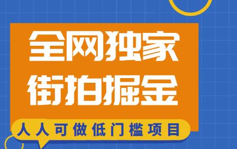 全网独家一街拍掘金，低门槛人人可做的赚钱项目【揭秘】插图