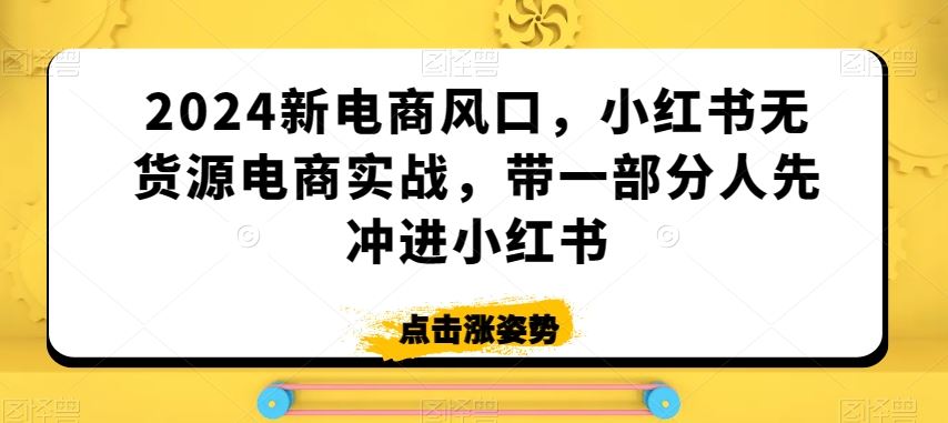 2024新电商风口，小红书无货源电商实战，带一部分人先冲进小红书插图