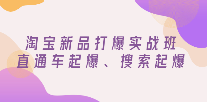 （2816期）淘宝新品打爆实战班，直通车起爆、搜索起爆（价值599元）插图