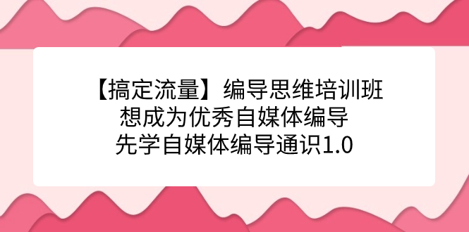 （7281期）【搞定流量】编导思维培训班，想成为优秀自媒体编导先学自媒体编导通识1.0插图