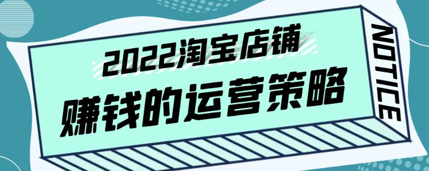 震宇老师·2022年淘宝店铺赚钱的运营策略，一套能够盈利的赚钱打法插图