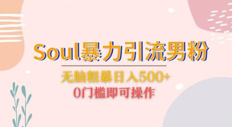 Soul暴力引流男粉玩法，无脑粗暴日入500＋，0门槛即可操作【揭秘】插图