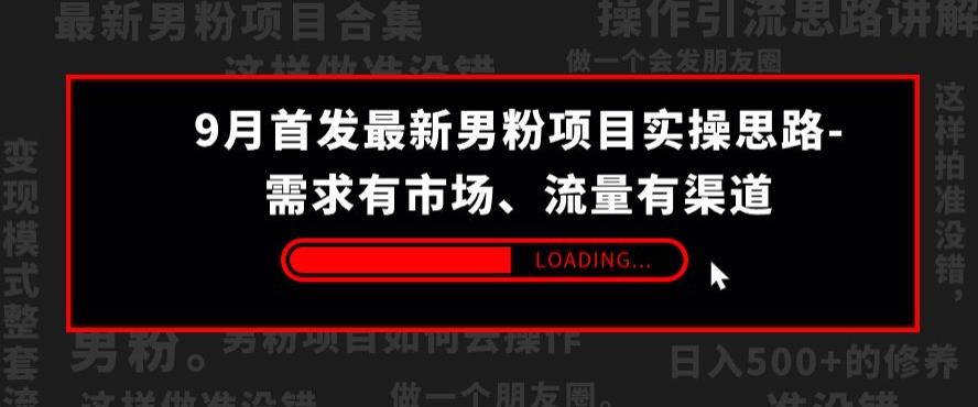 9月首发zui新男粉项目实操思路-需求有市场，流量有渠道【揭秘】插图