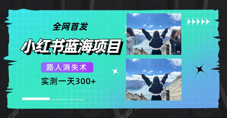 （7537期）全网首发，小红书蓝海项目，路人消失术，实测一天300+（教程+工具）插图