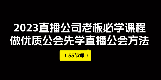 （7738期）2023直播公司老板必学课程，做优质公会先学直播公会方法（55节课）插图