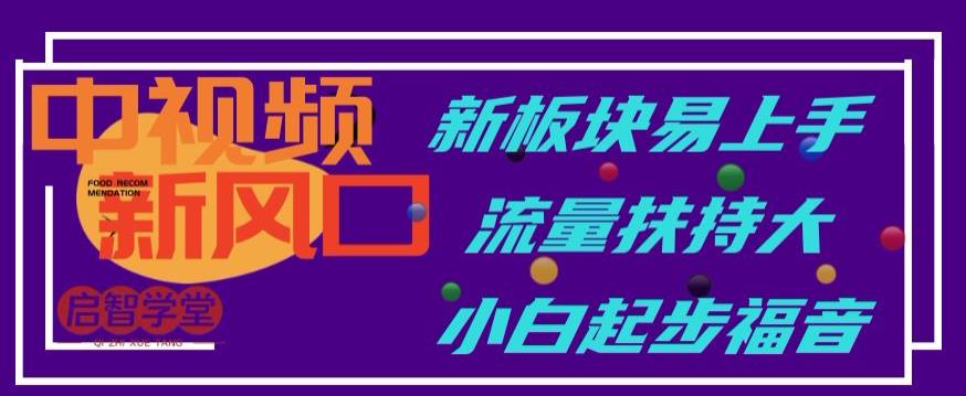 中视频新风口，新板块易上手，流量扶持大，小白起步福音【揭秘】插图