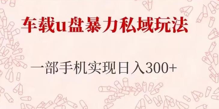 车载u盘暴力私域玩法，长期项目，仅需一部手机实现日入300+插图