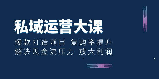 （6456期）私域运营大课：爆款打造项目 复购率提升 解决现金流压力 放大利润插图