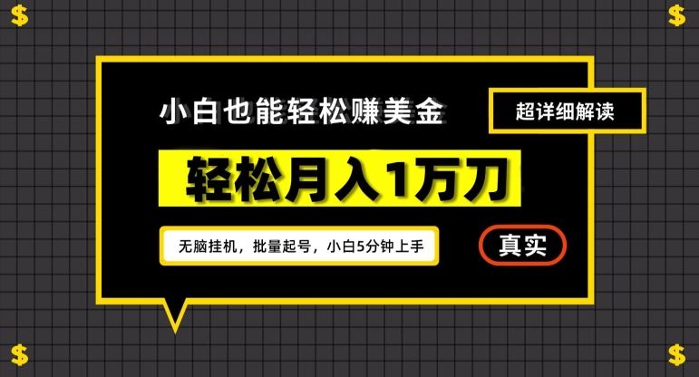 谷歌看广告撸美金2.0，无脑挂机，多号操作，月入1万刀【揭秘】插图