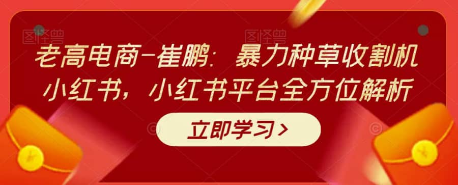 老高电商-崔鹏：暴力种草收割机小红书，小红书平台全方位解析插图