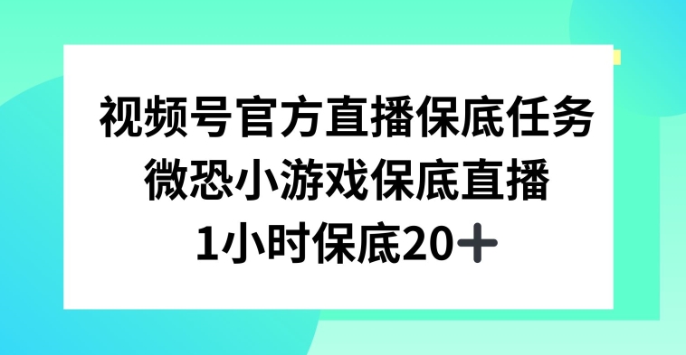 视频号直播任务，微恐小游戏，1小时20+【揭秘】插图