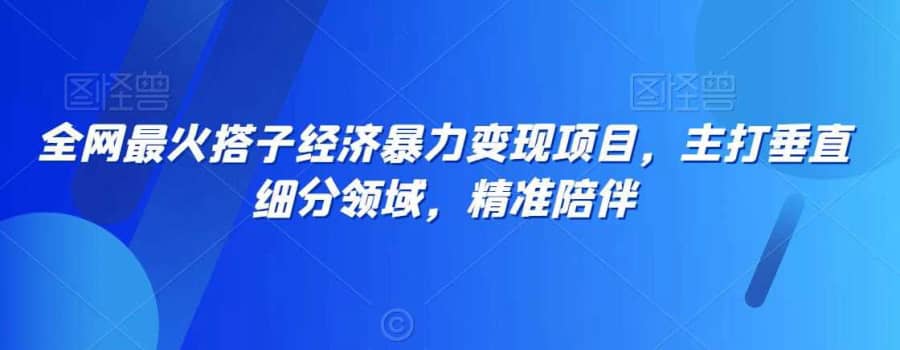 全网zui火搭子经济暴力变现项目，主打垂直细分领域，精准陪伴【揭秘】插图