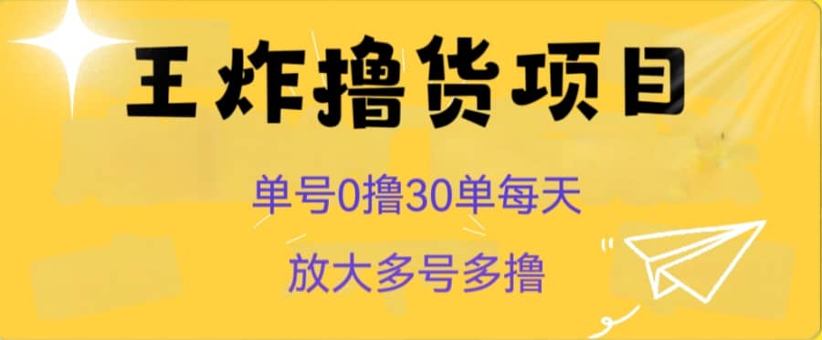 王炸撸货项目，单号0撸30单每天，多号多撸【揭秘】插图