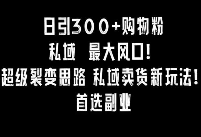 日引300+购物粉，超级裂变思路，私域卖货新玩法，小红书首选副业【揭秘】插图