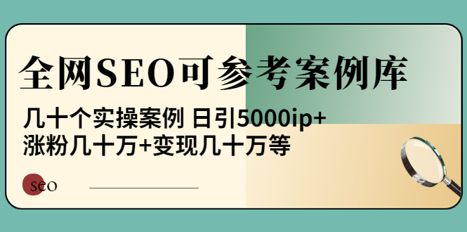 （3834期）《全网SEO可参考案例库》几十个实操案例 日引5000ip+涨粉百W+变现几十W等!插图