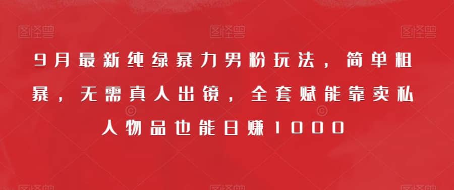 9月zui新纯绿暴力男粉玩法，简单粗暴，无需真人出镜，全套赋能靠卖私人物品也能日赚1000插图