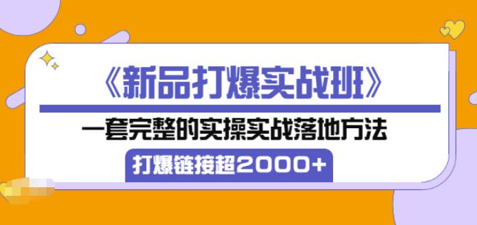 凌童《新品打爆实战班》,一套完整的实操实战落地方法，打爆链接超2000+（28节课)插图