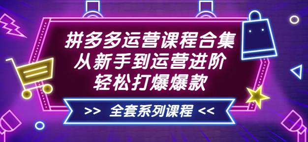 拼多多运营课程合集：从新手到运营进阶，轻松打爆爆款（全套系统课程）插图