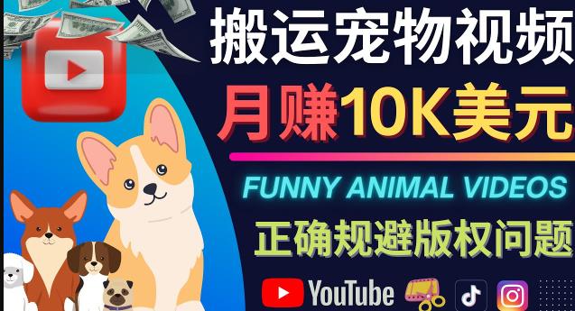 搬运TIKTOK视频到YouTube，并进行二次创作，月赚1万美元以上插图