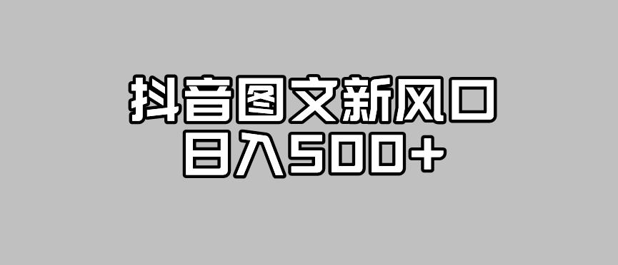 抖音图文zui新风口，流量扶持非常高，日入500+【揭秘】插图