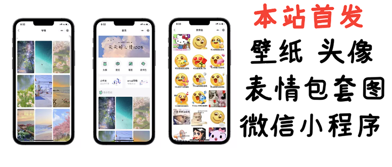 （2814期）小白0基础搭建微信壁纸头像表情包小程序：一单赚几百【含源码+视频教程】插图