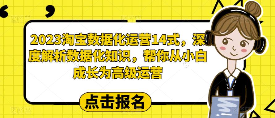 （6475期）2023淘宝数据化-运营 14式，深度解析数据化知识，帮你从小白成长为高级运营插图