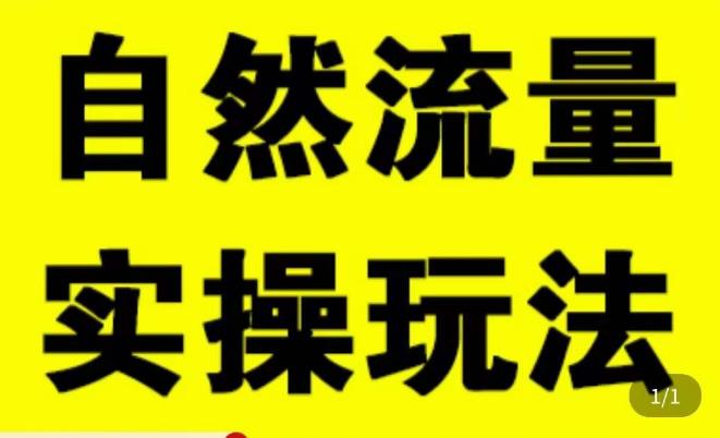 拼多多自然流量天花板，拼多多自然流的实操玩法，自然流量是怎么来的，如何开车带来自然流等知识插图