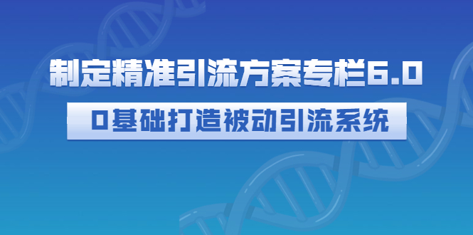 （2721期）制定精准引流方案专栏6.0：0基础打造被动引流系统（价值1380元）插图