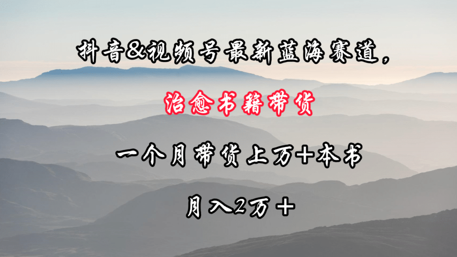 抖音&视频号zui新蓝海赛道，治愈书籍带货，一个月带货上万+本书，月入2万＋插图