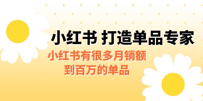 （6541期）某公众号付费文章《小红书 打造单品专家》小红书有很多月销额到百万的单品插图