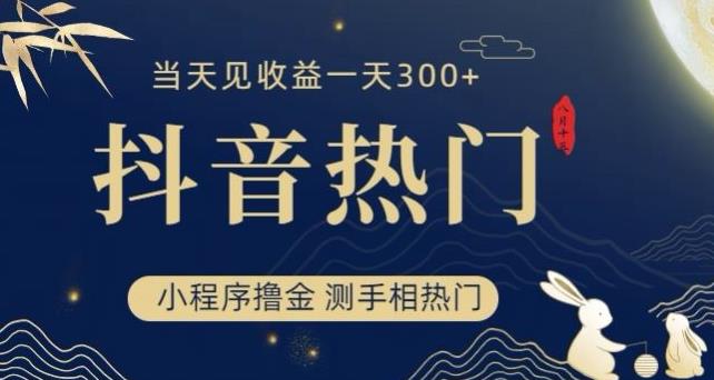 抖音zui新小程序撸金，测手相上热门，当天见收益一小时变现300+【揭秘】插图