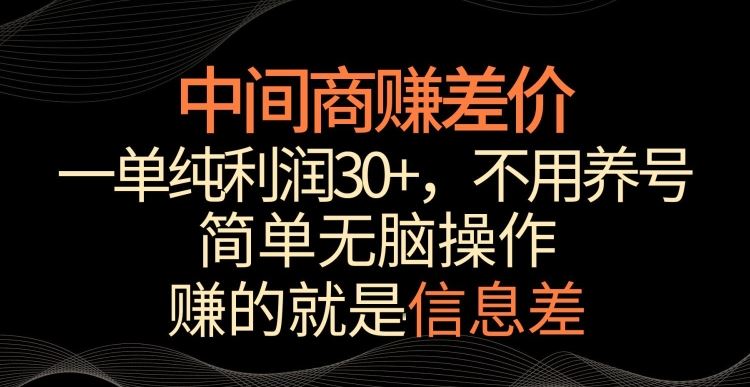 中间商赚差价，一单纯利润30+，简单无脑操作，赚的就是信息差，轻轻松松日入1000+【揭秘】插图