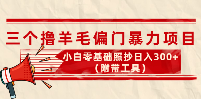 （4110期）外面卖998的三个撸羊毛偏门暴力项目，小白零基础照抄日入300+（附带工具）插图